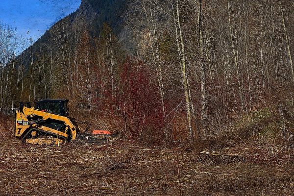 A bulldozer clearing land on a Platinum Ridge Earthworks job site in Vernon BC